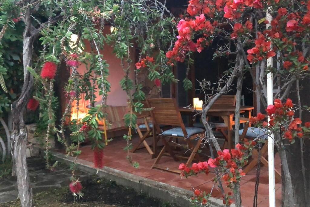 Villetta la Cinta San Teodoro  Esterno foto
